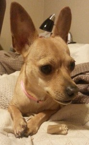 Maria, loving my bed.